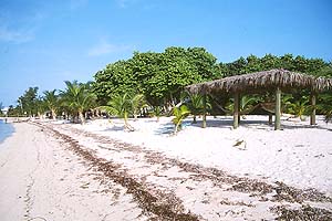 lcbr-beach.jpg (27293 bytes)